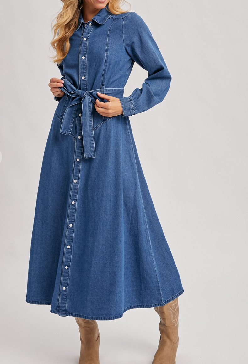 Denim A-Line Maxi Dress