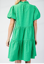Load image into Gallery viewer, Green Seersucker Mini Dress
