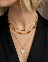 Load image into Gallery viewer, Tortoise Heart Layered Necklace
