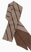 Load image into Gallery viewer, Brown Chic Skinny Scarf
