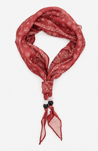Load image into Gallery viewer, Paisley Beaded Skinny Scarf
